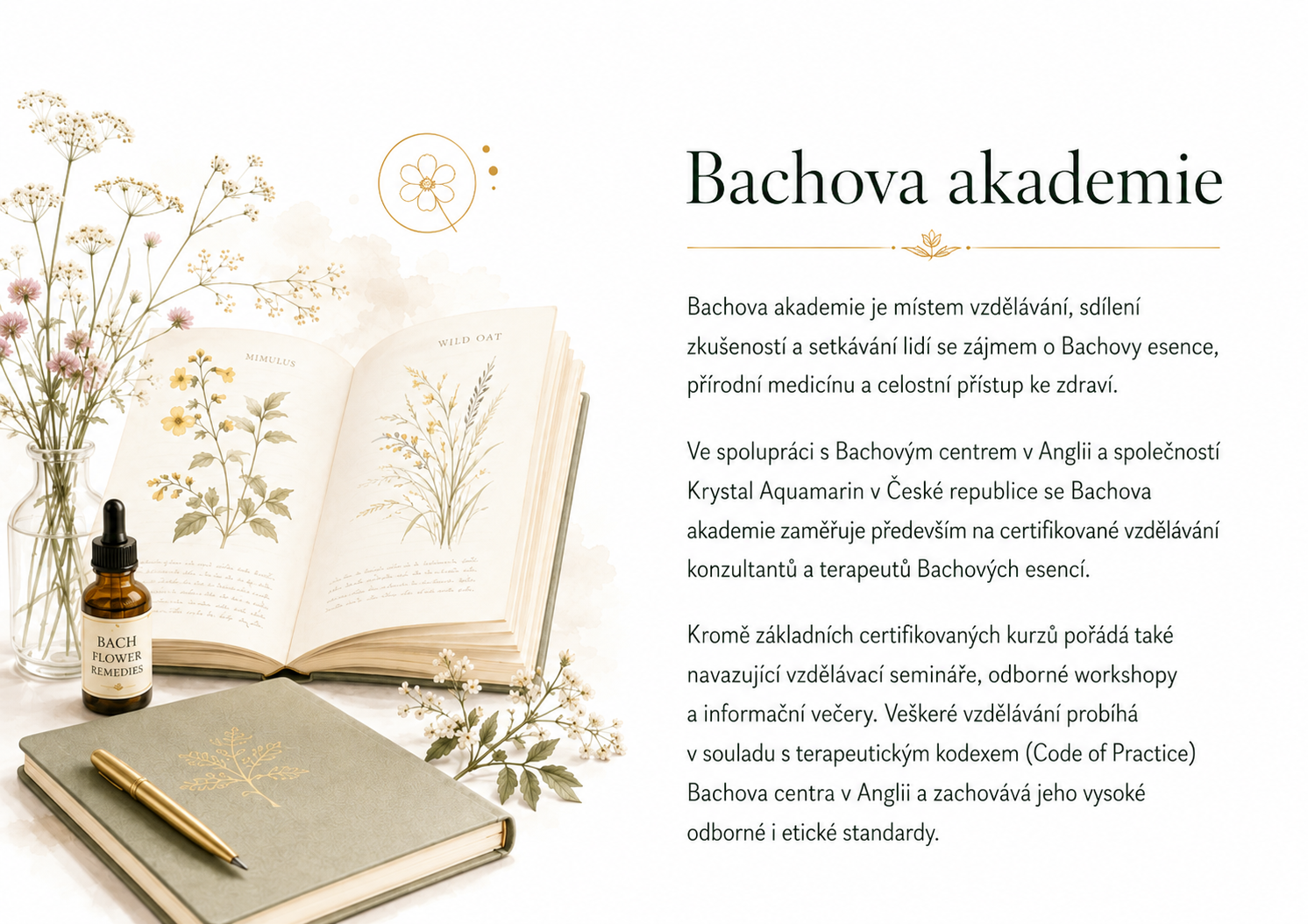 Bachova akademie text
